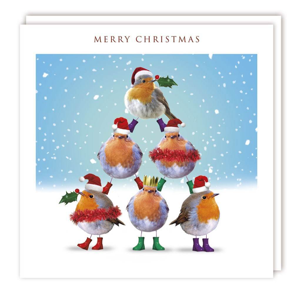 Robin Pyramid Christmas Card - House of Cards