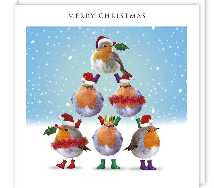 Robin Pyramid Christmas Card - House of Cards