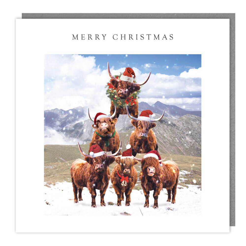 Cow Pyramid Christmas Card - House of Cards