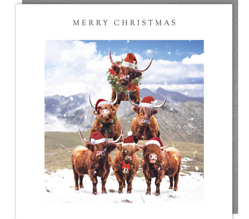 Cow Pyramid Christmas Card - House of Cards