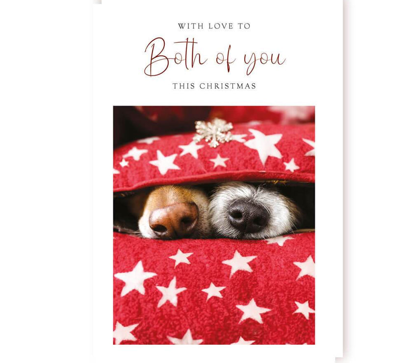 Both of You Christmas Card - House of Cards