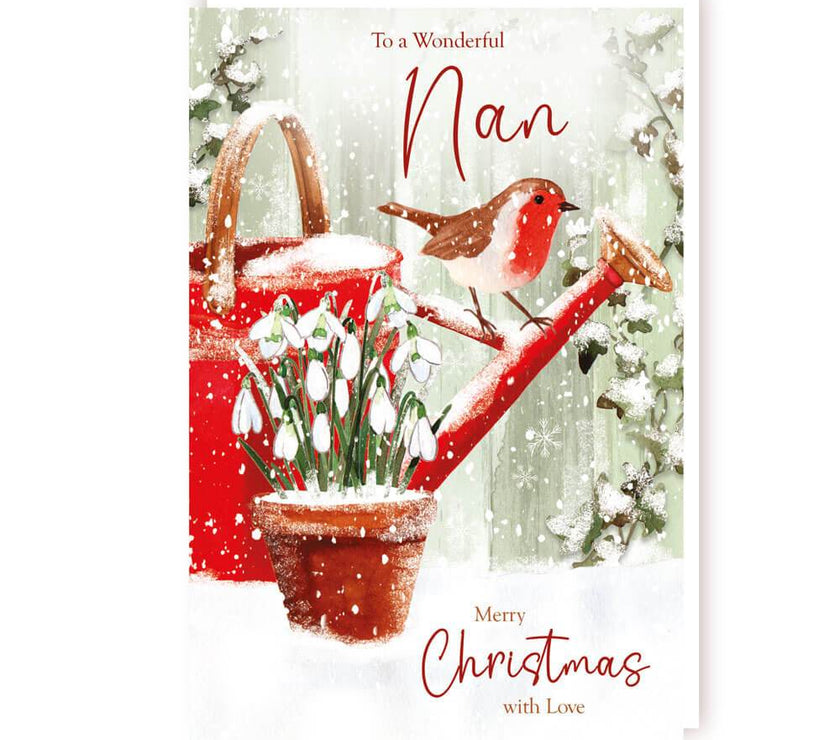 Nan Robin Christmas Card - House of Cards