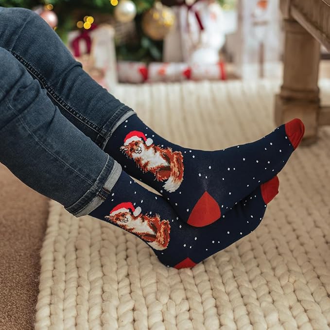 Male Fox Christmas Bamboo Socks