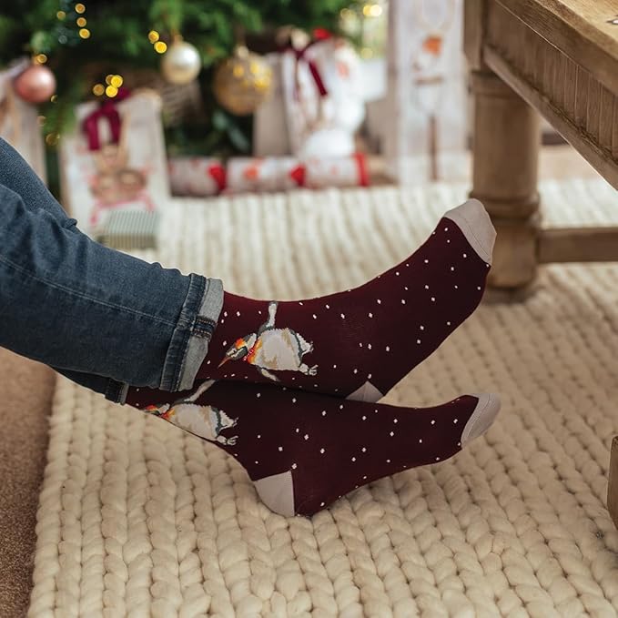Male Penguin Christmas Bamboo Socks
