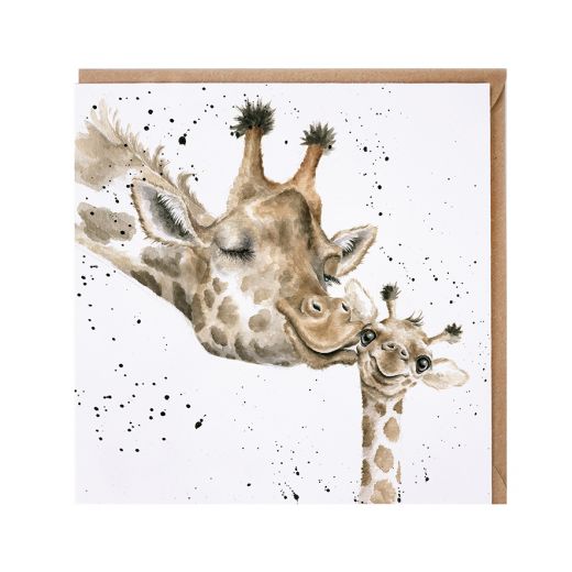 The Zoology Collections - First Kiss