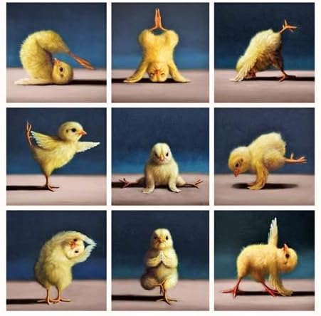 Chick Yoga Birthday Card